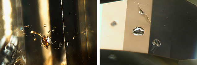 Figure 16. Pyrope-almandine-grossular garnet (left) and omphacite (right) are the most common mineral inclusions observed in 480 nm band diamonds. (The tan areas in the right photo are reflections from the girdle facets.) Photomicrographs by Mei Yan Lai; fields of view 1.76 mm (left) and 0.93 mm (right). Figure 16. Pyrope-almandine-grossular garnet (left) and omphacite (right) are the most common mineral inclusions observed in 480 nm band diamonds. (The tan areas in the right photo are reflections from the girdle facets.) Photomicrographs by Mei Yan Lai; fields of view 1.76 mm (left) and 0.93 mm (right).