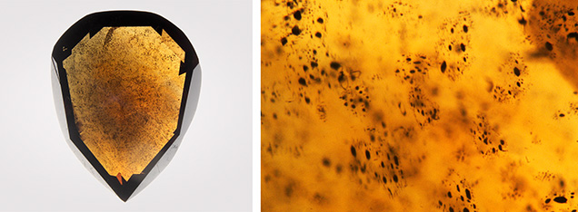 Figure 7. Left: A 1.03 ct Fancy Dark brown diamond containing carbon dioxide showing a high density of dark inclusion clusters. Right: The dark inclusions are larger (up to 50 μm) than those observed in typical 480 nm band diamonds without detectable carbon dioxide (generally <10 μm). Photos by Mei Yan Lai; field of view 1.26 mm (right). Figure 7. Left: A 1.03 ct Fancy Dark brown diamond containing carbon dioxide showing a high density of dark inclusion clusters. Right: The dark inclusions are larger (up to 50 μm) than those observed in typical 480 nm band diamonds without detectable carbon dioxide (generally <10 μm). Photos by Mei Yan Lai; field of view 1.26 mm (right).