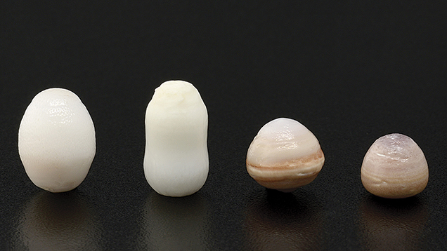Non-nacreous Pearls Non-nacreous Pearls