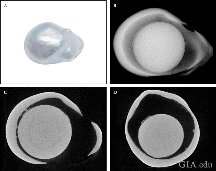 Fig20_720px_cc_w.png