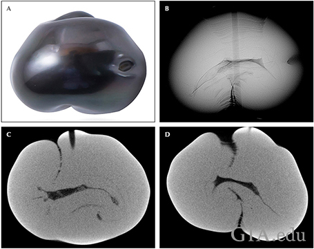 Fig21_468px_cc_w.png
