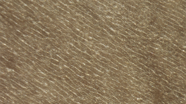 Nacreous Structure Nacreous Structure