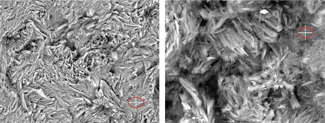 SEM photos of Tremolites SEM photos of Tremolites