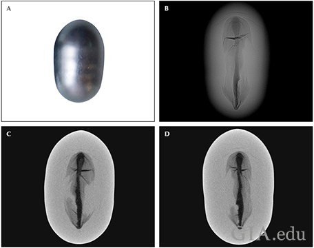 Fig8_468px_cc_w.png