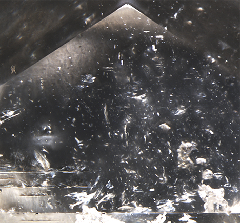 Photomicrograph Photomicrograph