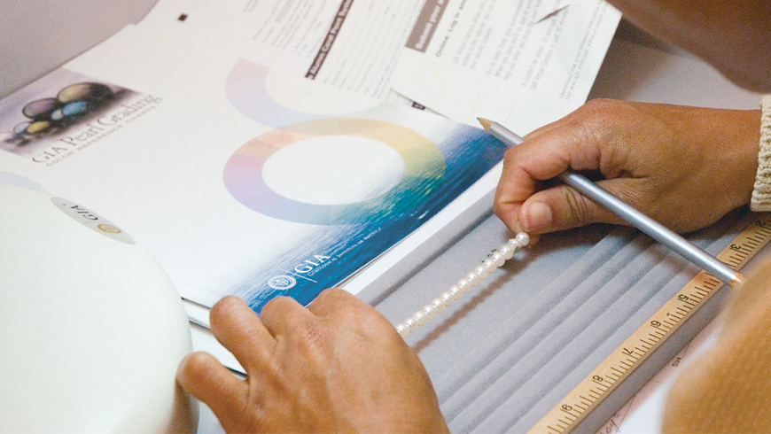 Graduate Pearls Online Diploma