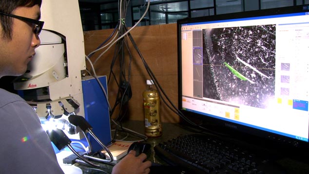 The technician used the Helium M Box and the microscope to plot a rough diamond’s surface-reaching feather, which is marked in green. The technician used the Helium M Box and the microscope to plot a rough diamond’s surface-reaching feather, which is marked in green.