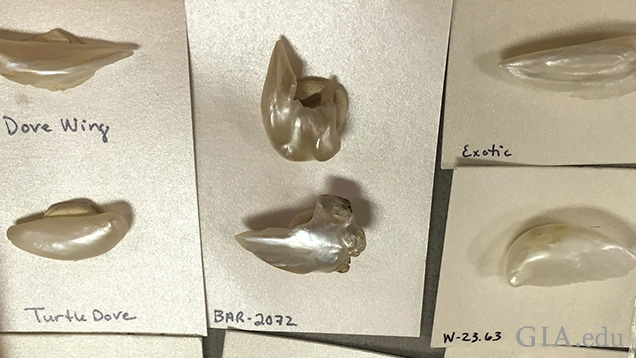 Wing pearls Wing pearls