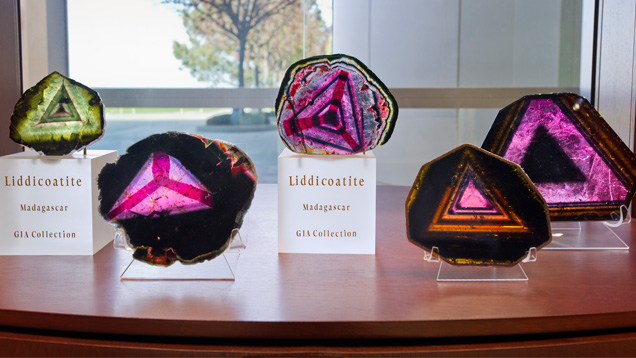 These liddicoatite slices were displayed at GIA in Carlsbad in honor of Richard T. Liddicoat's birthday. Photo by Kevin Schumacher/GIA These liddicoatite slices were displayed at GIA in Carlsbad in honor of Richard T. Liddicoat's birthday. Photo by Kevin Schumacher/GIA