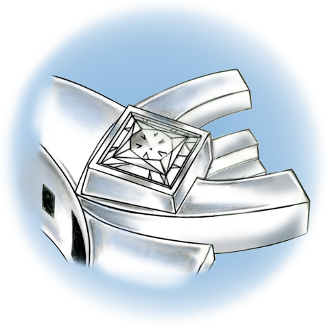 Perspective view of a platinum ring with diamonds set in the shank