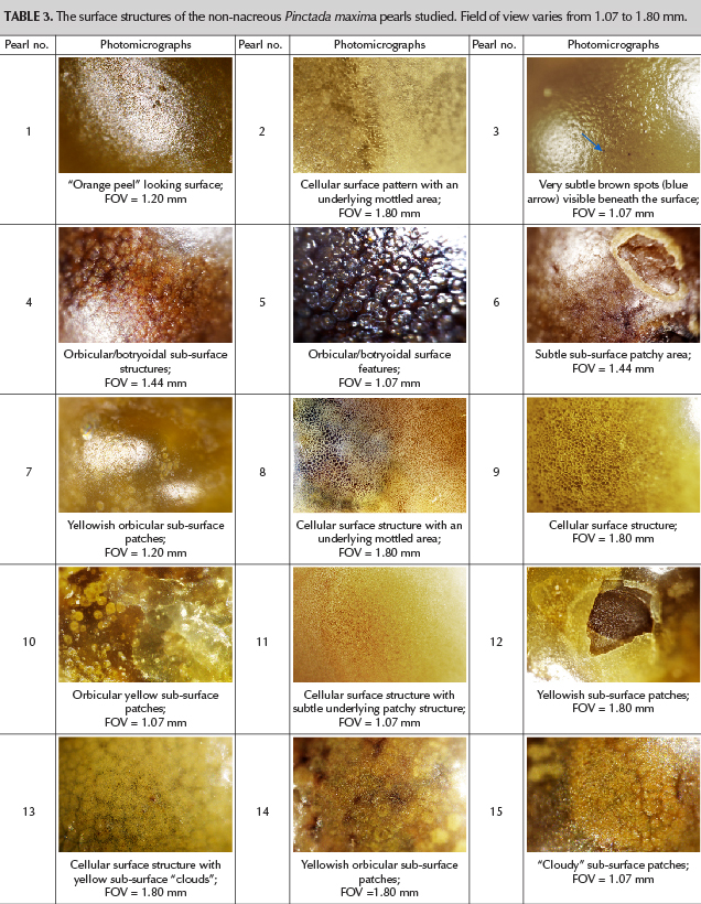 The surface structures of the non-nacreous Pinctada maxima pearls studied. Field of view varies from 1.07 to 1.80 mm.