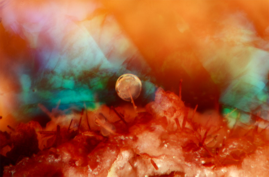 Photomicrography-Gallery-Image-8_185548-1092x720.jpg