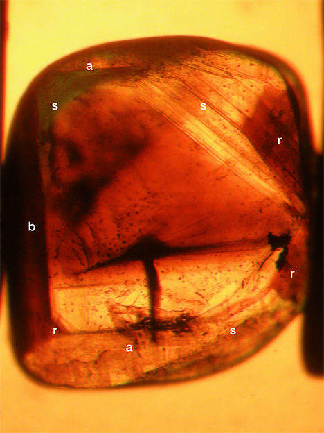 View in immersion of growth zoning and color zoning in a chrysoberyl View in immersion of growth zoning and color zoning in a chrysoberyl