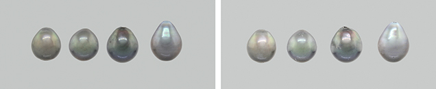 Tahitian pearls before and after bleach treatment Tahitian pearls before and after bleach treatment