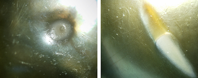 Microscopic images of white blemish areas on treated pistachio pearls Microscopic images of white blemish areas on treated pistachio pearls