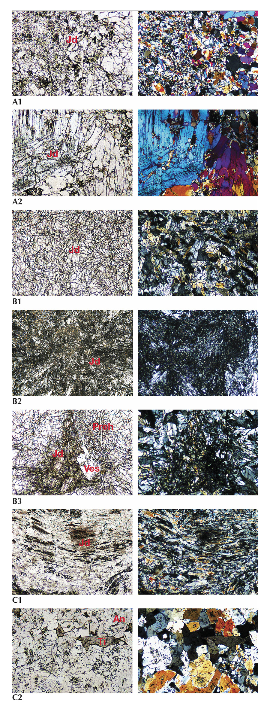 SP17-Ahmadjan-fig7_215261-900x2350