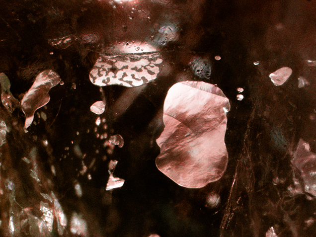 Gas bubbles revealed by fiber-optic illumination. Gas bubbles revealed by fiber-optic illumination.