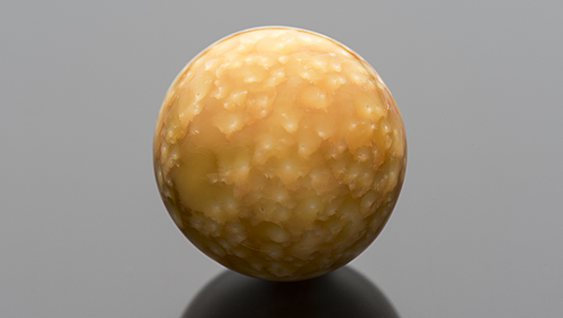 43.40 ct Melo pearl from Vietnam