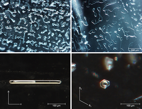 Multiphase inclusions in aquamarines from Shigar Valley. Multiphase inclusions in aquamarines from Shigar Valley.