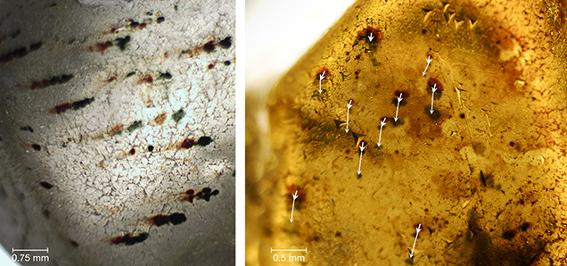 Brown and green spots of the same size and shape, but shifted in position, strongly suggests multiple stages of radiation exposure, heating, and movement of the diamond relative to the radioactive minerals. Brown and green spots of the same size and shape, but shifted in position, strongly suggests multiple stages of radiation exposure, heating, and movement of the diamond relative to the radioactive minerals.