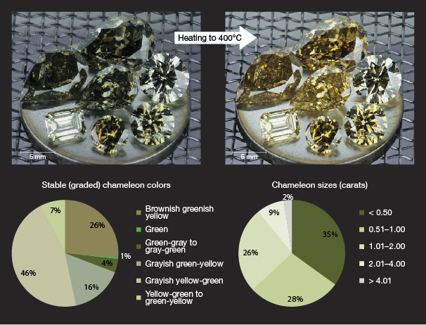 Chameleon diamonds change from their natural greenish color to yellow or orange when heated or kept in the dark. Chameleon diamonds change from their natural greenish color to yellow or orange when heated or kept in the dark.