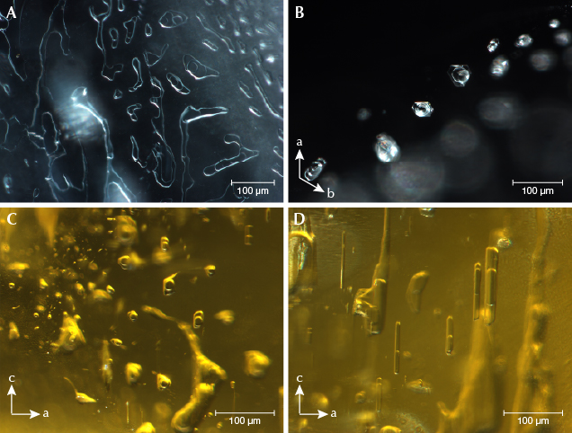 Two-phase inclusions in blue to yellow beryl samples Two-phase inclusions in blue to yellow beryl samples