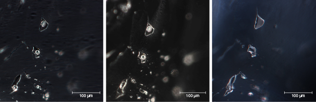Two-phase inclusion in beryl before and after heat treatment Two-phase inclusion in beryl before and after heat treatment