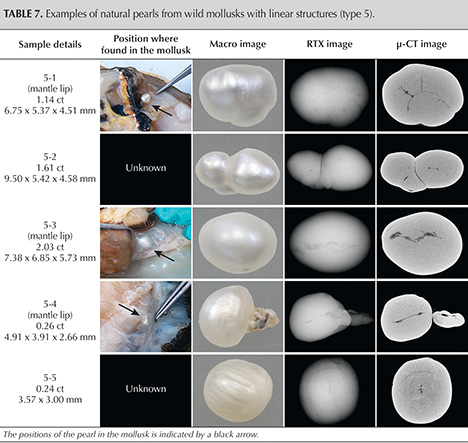 Table displaying examples of natural pearls from wild mollusks, including sample details, positions, and various imaging methods.