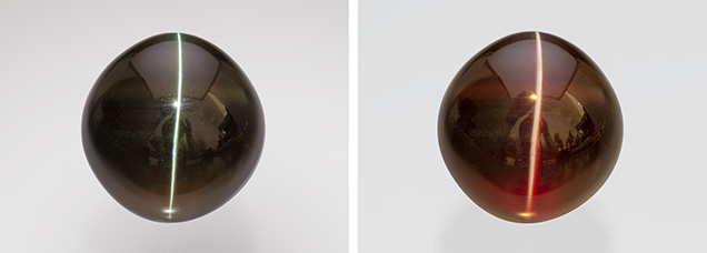 Figure 2. A 35.05 ct Sri Lankan cat’s-eye alexandrite in daylight (left) and incandescent light (right). Photo by Robert Weldon; courtesy of Kreis Jewellery GmbH.