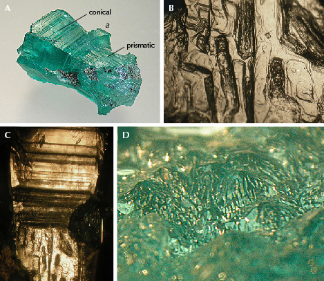 Figure 11. A: Sample 10 (25.0 mm in length), an emerald with conical habit in the upper left and prismatic habit in the lower right; the base is covered with numerous hillocks; a protrusion at the conical part represents a growth sector confined to the prism a. B: Stepped surface texture of the prismatic part. C: Growth steps at the prismatic part (bottom) and the conical part (top), and the c-axis runs vertically. D: On the basal face, the surfaces of the hillocks consist of numerous small faces that reflect light; viewed oblique to the c-axis. Photos by K. Schmetzer; fields of view 5.7 mm (B), 9.5 mm (C), and 5.0 mm (D). Figure 11. A: Sample 10 (25.0 mm in length), an emerald with conical habit in the upper left and prismatic habit in the lower right; the base is covered with numerous hillocks; a protrusion at the conical part represents a growth sector confined to the prism a. B: Stepped surface texture of the prismatic part. C: Growth steps at the prismatic part (bottom) and the conical part (top), and the c-axis runs vertically. D: On the basal face, the surfaces of the hillocks consist of numerous small faces that reflect light; viewed oblique to the c-axis. Photos by K. Schmetzer; fields of view 5.7 mm (B), 9.5 mm (C), and 5.0 mm (D).
