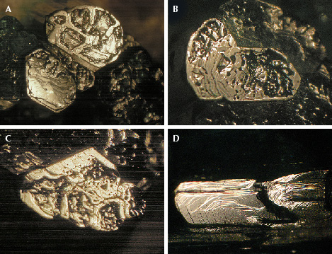 Figure 13. A–C: The stepped micro-texture of emeralds with incompletely developed basal planes shows stacked layers parallel to the c-axis. D: Growth steps on the m prism face of one of the crystals in figure 12B. Shown here are sample 12 (A and D) and sample 13 (B and C). Photos by K. Schmetzer; fields of view 11.5 mm (A), 7.6 mm (B and C), and 4.6 mm (D). Figure 13. A–C: The stepped micro-texture of emeralds with incompletely developed basal planes shows stacked layers parallel to the c-axis. D: Growth steps on the m prism face of one of the crystals in figure 12B. Shown here are sample 12 (A and D) and sample 13 (B and C). Photos by K. Schmetzer; fields of view 11.5 mm (A), 7.6 mm (B and C), and 4.6 mm (D).
