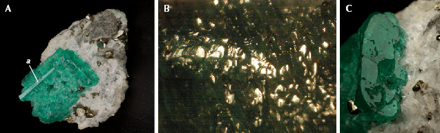 Figure 6. A: Sample 3 (23.6 mm in length), a heavily corroded emerald crystal with a completely dissolved surface related to the m prism face, but with a small protruding area related to the a prism that is almost free of corrosion. B: Only small areas of the original surface of the m prism are still reflective. C: The c basal pinacoid reveals irregularly shaped holes leading to cavities below this face. Photos by G. Martayan (A and C), and K. Schmetzer (B); field of view 7.6 mm (B). Figure 6. A: Sample 3 (23.6 mm in length), a heavily corroded emerald crystal with a completely dissolved surface related to the m prism face, but with a small protruding area related to the a prism that is almost free of corrosion. B: Only small areas of the original surface of the m prism are still reflective. C: The c basal pinacoid reveals irregularly shaped holes leading to cavities below this face. Photos by G. Martayan (A and C), and K. Schmetzer (B); field of view 7.6 mm (B).