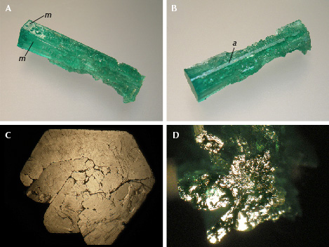 Figure 7. Sample 4 (31.1 mm in length), a columnar emerald that has been heavily corroded by natural etching. One end of the crystal (A, upper left) still shows natural crystal faces, while the rest of the sample shows completely dissolved m prism faces (A and B) and highly reflective but still undissolved smaller a prisms (B). At one end, the basal face is only slightly corroded (C), while the basal face at the other end of the crystal is heavily corroded (D). Photos by K. Schmetzer; field of view 9.5 mm (C and D). Figure 7. Sample 4 (31.1 mm in length), a columnar emerald that has been heavily corroded by natural etching. One end of the crystal (A, upper left) still shows natural crystal faces, while the rest of the sample shows completely dissolved m prism faces (A and B) and highly reflective but still undissolved smaller a prisms (B). At one end, the basal face is only slightly corroded (C), while the basal face at the other end of the crystal is heavily corroded (D). Photos by K. Schmetzer; field of view 9.5 mm (C and D).