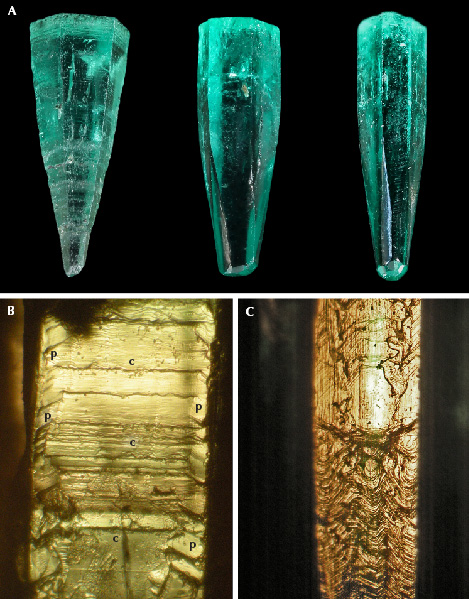 Figure 8. A: Emerald crystals with pyramidal or partly pyramidal habit: sample 5 (left, 10.0 mm in length), sample 7 (center, 8.8 mm in length), and sample 6 (right, 8.8 mm in length). B: Surface texture of the pyramidal emerald crystal (sample 5) showing growth lines related to the basal pinacoid c (center) and pyramidal faces p (left and right). C: Complex surface texture of a partly pyramidal, partly prismatic crystal (sample 7) showing a complex pattern related to pyramidal faces (lower part) and to basal, pyramidal, and prism faces (upper part). The growth direction of the crystals shown in A–C is always from the bottom to the top. Photos by G. Martayan (A) and K. Schmetzer (B and C); fields of view 2.4 mm (B) and 2.4 mm (C). Figure 8. A: Emerald crystals with pyramidal or partly pyramidal habit: sample 5 (left, 10.0 mm in length), sample 7 (center, 8.8 mm in length), and sample 6 (right, 8.8 mm in length). B: Surface texture of the pyramidal emerald crystal (sample 5) showing growth lines related to the basal pinacoid c (center) and pyramidal faces p (left and right). C: Complex surface texture of a partly pyramidal, partly prismatic crystal (sample 7) showing a complex pattern related to pyramidal faces (lower part) and to basal, pyramidal, and prism faces (upper part). The growth direction of the crystals shown in A–C is always from the bottom to the top. Photos by G. Martayan (A) and K. Schmetzer (B and C); fields of view 2.4 mm (B) and 2.4 mm (C).