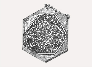 Figure B-3. Surface structure in a beryl from Mount Antero, Colorado, with a rim surrounding a larger cavity with irregular walls or columns developed within the cavity. From Hills (1890). Figure B-3. Surface structure in a beryl from Mount Antero, Colorado, with a rim surrounding a larger cavity with irregular walls or columns developed within the cavity. From Hills (1890).