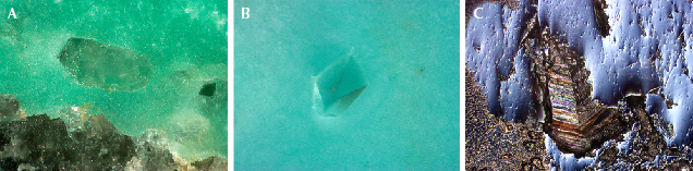 Figure 10. Euhedral quartz crystals in turquoise. A: Quartz with a hexagonal prism cross section (perpendicular to the c-axis). B: Quartz with a pyramidal trigonal habit. C: Quartz showing transverse striations under differential interference contrast microscopy. Photomicrographs by Ling Liu; fields of view 0.9 mm (A), 0.5 mm (B), and 0.6 mm (C). Figure 10. Euhedral quartz crystals in turquoise. A: Quartz with a hexagonal prism cross section (perpendicular to the c-axis). B: Quartz with a pyramidal trigonal habit. C: Quartz showing transverse striations under differential interference contrast microscopy. Photomicrographs by Ling Liu; fields of view 0.9 mm (A), 0.5 mm (B), and 0.6 mm (C).