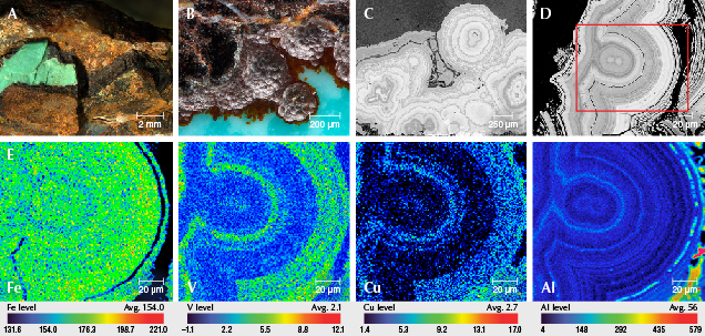 Figure 12. A: Goethite with 0.232–1.383 mm thickness. B: Oolite-like goethite. C: Goethite with concentric layers. D: Goethite showed distinct oscillatory zonings in BSE images. E: EPMA element mapping revealed variations in iron, vanadium, copper, and aluminum contents. Images by Ling Liu. Figure 12. A: Goethite with 0.232–1.383 mm thickness. B: Oolite-like goethite. C: Goethite with concentric layers. D: Goethite showed distinct oscillatory zonings in BSE images. E: EPMA element mapping revealed variations in iron, vanadium, copper, and aluminum contents. Images by Ling Liu.