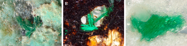 Figure 13. A: Bright green atacamite crystals associated with turquoise. B: Elongate columnar atacamite in matrix. C: Irregularly granular atacamite surrounded by quartz in matrix. Photomicrographs by Ling Liu; fields of view 1.1 mm (A) and 0.6 mm (B and C). Figure 13. A: Bright green atacamite crystals associated with turquoise. B: Elongate columnar atacamite in matrix. C: Irregularly granular atacamite surrounded by quartz in matrix. Photomicrographs by Ling Liu; fields of view 1.1 mm (A) and 0.6 mm (B and C).