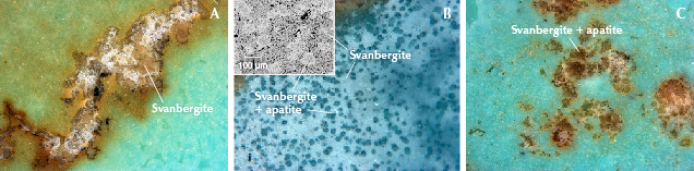 Figure 16. A: Beige svanbergite associated with quartz and turquoise. B: Deep blue spots (a mixture of svanbergite and apatite) unevenly distributed in svanbergite (BSE image inset). C: Irregular yellowish green fragments (also a mixture of svanbergite and apatite) surrounded by turquoise. Photomicrographs by Ling Liu; fields of view 2.8 mm (A and C) and 2.7 mm (B). Figure 16. A: Beige svanbergite associated with quartz and turquoise. B: Deep blue spots (a mixture of svanbergite and apatite) unevenly distributed in svanbergite (BSE image inset). C: Irregular yellowish green fragments (also a mixture of svanbergite and apatite) surrounded by turquoise. Photomicrographs by Ling Liu; fields of view 2.8 mm (A and C) and 2.7 mm (B).