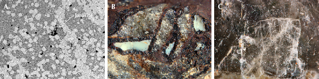 Figure 17. A: Jarosite has the brightest gray value in this BSE image. B: Bonattite with a milky appearance filling in the fissures and wedge-shaped cavities of goethite. C: Muscovite with perfect cleavage, found in the matrix of rough samples. Photomicrographs by Ling Liu; fields of view 1.2 mm (A), 5.9 mm (B), and 1.1 mm (C). Figure 17. A: Jarosite has the brightest gray value in this BSE image. B: Bonattite with a milky appearance filling in the fissures and wedge-shaped cavities of goethite. C: Muscovite with perfect cleavage, found in the matrix of rough samples. Photomicrographs by Ling Liu; fields of view 1.2 mm (A), 5.9 mm (B), and 1.1 mm (C).