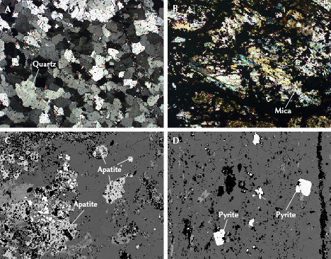 Figure 19. Minerals in the quartzite and black shale of Tianhu East. A: Quartz observed using a polarizing microscope with plane polarized light. B: Mica observed using a polarizing microscope with perpendicular polarized light. C and D: EPMA-BSE imaging reveals apatite (C) and cubic pyrite (D). Photomicrographs by Ling Liu; fields of view 2.1 mm (A), 1.0 mm (B and C), and 1.8 mm (D). Figure 19. Minerals in the quartzite and black shale of Tianhu East. A: Quartz observed using a polarizing microscope with plane polarized light. B: Mica observed using a polarizing microscope with perpendicular polarized light. C and D: EPMA-BSE imaging reveals apatite (C) and cubic pyrite (D). Photomicrographs by Ling Liu; fields of view 2.1 mm (A), 1.0 mm (B and C), and 1.8 mm (D).