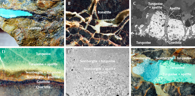 Figure 20. A: Turquoise filling in goethite showed later formation. B: Bonattite formed in a goethite fissure. C: Apatite grew along the fissures of goethite, revealed in EPMA-BSE images. D: The crystallization sequence of goethite, apatite, svanbergite, turquoise, and their mixtures hosted in quartzite. E: EPMA-BSE image showing mottled aggregates of the mixed svanbergite, apatite, and turquoise dispersed in the mixture of svanbergite and turquoise. F: Coexisting svanbergite, apatite, turquoise, and their mottled aggregates in a sample with a mineralogical transition zone. Photomicrographs by Ling Liu; fields of view 1.8 mm (B), 1.1 mm (C), 4.0 mm (D), 3.3 mm (E), and 18 mm (F). Figure 20. A: Turquoise filling in goethite showed later formation. B: Bonattite formed in a goethite fissure. C: Apatite grew along the fissures of goethite, revealed in EPMA-BSE images. D: The crystallization sequence of goethite, apatite, svanbergite, turquoise, and their mixtures hosted in quartzite. E: EPMA-BSE image showing mottled aggregates of the mixed svanbergite, apatite, and turquoise dispersed in the mixture of svanbergite and turquoise. F: Coexisting svanbergite, apatite, turquoise, and their mottled aggregates in a sample with a mineralogical transition zone. Photomicrographs by Ling Liu; fields of view 1.8 mm (B), 1.1 mm (C), 4.0 mm (D), 3.3 mm (E), and 18 mm (F).
