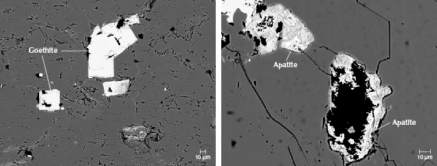 Figure 22. The occurrence of goethite and diagenetic apatite in the Tianhu East rocks, revealed in EPMA-BSE images. A: Goethite with pseudomorphic cubic forms produced by the oxidation of pyrite. B: The remaining dissolved apatite exhibits incomplete shapes with numerous cavities. Figure 22. The occurrence of goethite and diagenetic apatite in the Tianhu East rocks, revealed in EPMA-BSE images. A: Goethite with pseudomorphic cubic forms produced by the oxidation of pyrite. B: The remaining dissolved apatite exhibits incomplete shapes with numerous cavities.