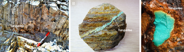 Figure 4. A: This turquoise vein is hosted within a quartzite matrix, illustrating the geological context of the mineral’s formation. B: One of the collected samples showcasing a turquoise vein; field of view 8 cm. C: A high-quality blue turquoise nodule surrounded by matrix; field of view 5 cm. Photos by Ling Liu. Figure 4. A: This turquoise vein is hosted within a quartzite matrix, illustrating the geological context of the mineral’s formation. B: One of the collected samples showcasing a turquoise vein; field of view 8 cm. C: A high-quality blue turquoise nodule surrounded by matrix; field of view 5 cm. Photos by Ling Liu.