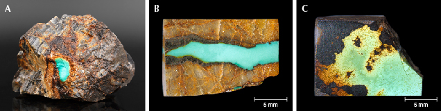 Figure 7. Turquoise collected from the Tianhu East mines. A: A blue turquoise-in-matrix hand specimen (1163.1 g total). B and C: Greenish blue (3.11 g) and yellowish green (4.65 g) turquoise samples investigated in this research. The matrix consists of quartzite with limonization. Photos by Ling Liu and Qiaoqiao Li. Figure 7. Turquoise collected from the Tianhu East mines. A: A blue turquoise-in-matrix hand specimen (1163.1 g total). B and C: Greenish blue (3.11 g) and yellowish green (4.65 g) turquoise samples investigated in this research. The matrix consists of quartzite with limonization. Photos by Ling Liu and Qiaoqiao Li.