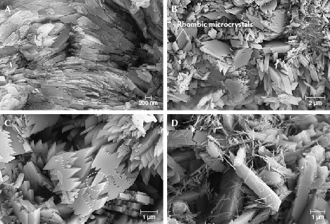 Figure 9. Various microstructures of Tianhu East turquoise observed using FESEM. A: Platy microcrystals arranged in parallel. B: Rhombic microcrystals with different sizes. C: A rhomboidal shape with jagged edges. D: Tiny columnar microcrystals attached to larger columnar ones. Figure 9. Various microstructures of Tianhu East turquoise observed using FESEM. A: Platy microcrystals arranged in parallel. B: Rhombic microcrystals with different sizes. C: A rhomboidal shape with jagged edges. D: Tiny columnar microcrystals attached to larger columnar ones.