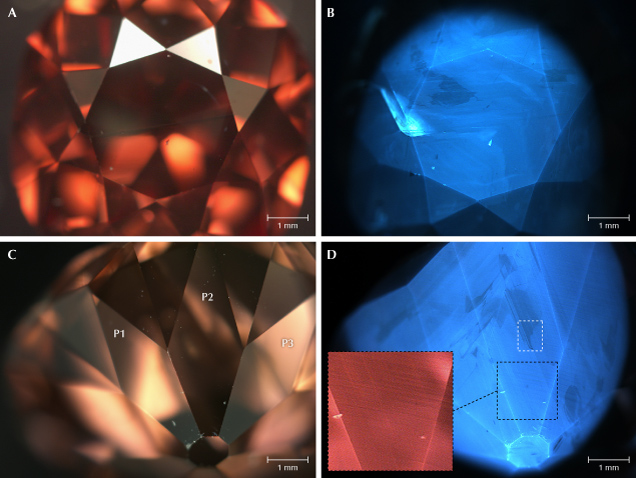 Figure 13. DiamondView images of the Winston Red’s table (A and B) and selected pavilion facets (C and D). The reference images on the left (A and C) and the fluorescence images on the right (B and D) were collected under white light and deep-UV illumination, respectively. The distribution of the blue N3 fluorescence reveals the diamond’s intrinsic growth pattern. The inset of an area outlined in black lines in D shows the graining features as best observed using the red filter (725 nm long-pass). Comparison of the diamond’s color for images A and C highlights its reversible photochromism, changing to a brown color following UV exposure. The white rectangle in D indicates a region that was further explored using photoluminescence mapping techniques. Images by Ulrika F.S. D’Haenens-Johansson. Figure 13. DiamondView images of the Winston Red’s table (A and B) and selected pavilion facets (C and D). The reference images on the left (A and C) and the fluorescence images on the right (B and D) were collected under white light and deep-UV illumination, respectively. The distribution of the blue N3 fluorescence reveals the diamond’s intrinsic growth pattern. The inset of an area outlined in black lines in D shows the graining features as best observed using the red filter (725 nm long-pass). Comparison of the diamond’s color for images A and C highlights its reversible photochromism, changing to a brown color following UV exposure. The white rectangle in D indicates a region that was further explored using photoluminescence mapping techniques. Images by Ulrika F.S. D’Haenens-Johansson.