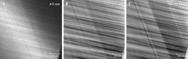 Figure 14. PL mapping of various spectroscopic features on the P2 facet defined in figure 7. On a small region near the facet junction on the right side of P2: peak area of the N3 ZPL at 415 nm normalized to the Raman peak area (A), peak area of the 576 nm ZPL (B), and emission area of the 625–677 nm region associated with the broad band centered at ~700 nm (C). Figure 14. PL mapping of various spectroscopic features on the P2 facet defined in figure 7. On a small region near the facet junction on the right side of P2: peak area of the N3 ZPL at 415 nm normalized to the Raman peak area (A), peak area of the 576 nm ZPL (B), and emission area of the 625–677 nm region associated with the broad band centered at ~700 nm (C).