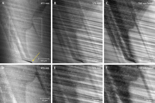 Figure 15. Following similar analytical procedures, a region encompassing a distinctive growth zone as outlined in white in figure 13D is PL mapped for N3 (A), the 576 nm peak (B), and the 700 nm band (C). The yellow arrow in A shows an area at the edge of the growth zone that is devoid of N3. D–F: The same information shown in A–C is repeated for the region outlined in white in image A. Figure 15. Following similar analytical procedures, a region encompassing a distinctive growth zone as outlined in white in figure 13D is PL mapped for N3 (A), the 576 nm peak (B), and the 700 nm band (C). The yellow arrow in A shows an area at the edge of the growth zone that is devoid of N3. D–F: The same information shown in A–C is repeated for the region outlined in white in image A.