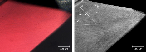 Figure 8. Three directions of graining on a facet in true colors (left) and in black and white showing variations in hue (right). The three directions of graining (a, b, and c) are outlined in white dashed lines. Images by W. Henry Towbin. Figure 8. Three directions of graining on a facet in true colors (left) and in black and white showing variations in hue (right). The three directions of graining (a, b, and c) are outlined in white dashed lines. Images by W. Henry Towbin.